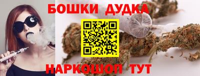 тгк Партизанск
