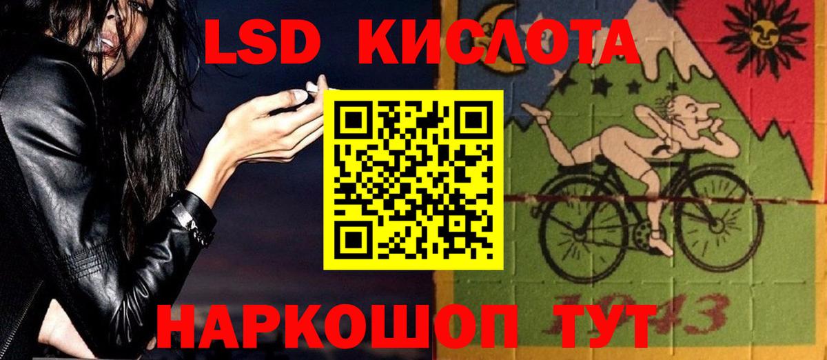 Галлюциногенные грибы Псков