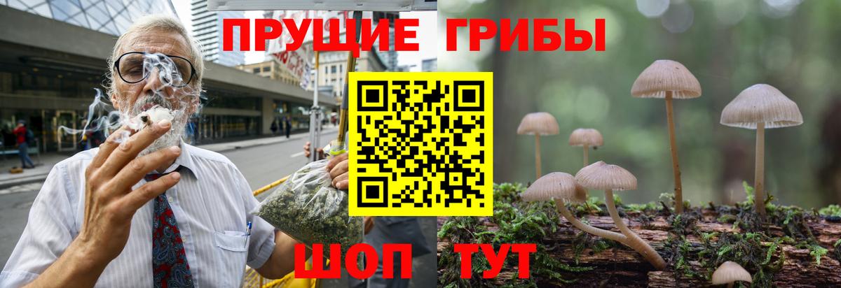 Псков  Псилоцибиновые грибы мицелий  Вход с VPN 